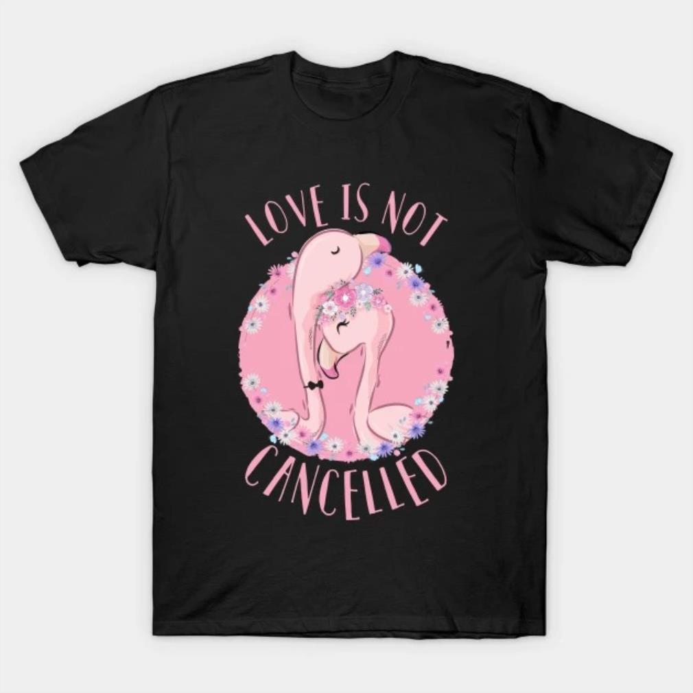 Love is not cancelled T-Shirt